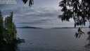./images/koeye/fitz-hugh/20250522/fitz-hugh20250522_214007M.jpg