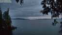 ./images/koeye/fitz-hugh/20250522/fitz-hugh20250522_220009M.jpg