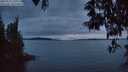 ./images/koeye/fitz-hugh/20250522/fitz-hugh20250522_220509M.jpg