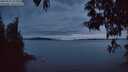 ./images/koeye/fitz-hugh/20250522/fitz-hugh20250522_221009M.jpg