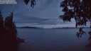 ./images/koeye/fitz-hugh/20250522/fitz-hugh20250522_221506M.jpg