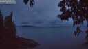 ./images/koeye/fitz-hugh/20250523/fitz-hugh20250523_044508M.jpg
