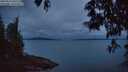 ./images/koeye/fitz-hugh/20250523/fitz-hugh20250523_045509M.jpg