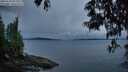 ./images/koeye/fitz-hugh/20250523/fitz-hugh20250523_051009M.jpg