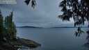 ./images/koeye/fitz-hugh/20250523/fitz-hugh20250523_051509M.jpg