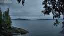 ./images/koeye/fitz-hugh/20250523/fitz-hugh20250523_052009M.jpg