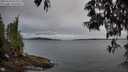 ./images/koeye/fitz-hugh/20250523/fitz-hugh20250523_055509M.jpg