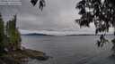 ./images/koeye/fitz-hugh/20250523/fitz-hugh20250523_060510M.jpg