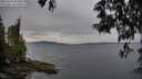 ./images/koeye/fitz-hugh/20250523/fitz-hugh20250523_064010M.jpg