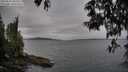 ./images/koeye/fitz-hugh/20250523/fitz-hugh20250523_064509M.jpg