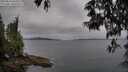 ./images/koeye/fitz-hugh/20250523/fitz-hugh20250523_065009M.jpg