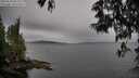 ./images/koeye/fitz-hugh/20250523/fitz-hugh20250523_082510M.jpg