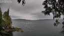 ./images/koeye/fitz-hugh/20250523/fitz-hugh20250523_090011M.jpg