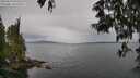 ./images/koeye/fitz-hugh/20250523/fitz-hugh20250523_092510M.jpg