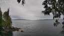 ./images/koeye/fitz-hugh/20250523/fitz-hugh20250523_094010M.jpg