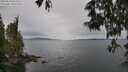 ./images/koeye/fitz-hugh/20250523/fitz-hugh20250523_094509M.jpg