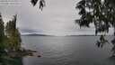 ./images/koeye/fitz-hugh/20250523/fitz-hugh20250523_095010M.jpg