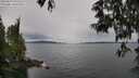 ./images/koeye/fitz-hugh/20250523/fitz-hugh20250523_095510M.jpg