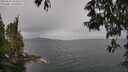 ./images/koeye/fitz-hugh/20250523/fitz-hugh20250523_104511M.jpg
