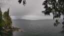./images/koeye/fitz-hugh/20250523/fitz-hugh20250523_105010M.jpg