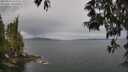 ./images/koeye/fitz-hugh/20250523/fitz-hugh20250523_110508M.jpg