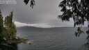 ./images/koeye/fitz-hugh/20250523/fitz-hugh20250523_112510M.jpg