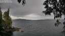 ./images/koeye/fitz-hugh/20250523/fitz-hugh20250523_113510M.jpg