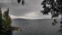 ./images/koeye/fitz-hugh/20250523/fitz-hugh20250523_114010M.jpg