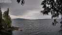 ./images/koeye/fitz-hugh/20250523/fitz-hugh20250523_114508M.jpg