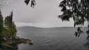 ./images/koeye/fitz-hugh/20250523/fitz-hugh20250523_121510M.jpg