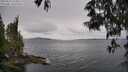 ./images/koeye/fitz-hugh/20250523/fitz-hugh20250523_124010M.jpg