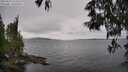 ./images/koeye/fitz-hugh/20250523/fitz-hugh20250523_124508M.jpg