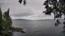 ./images/koeye/fitz-hugh/20250523/fitz-hugh20250523_125508M.jpg