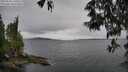 ./images/koeye/fitz-hugh/20250523/fitz-hugh20250523_130509M.jpg