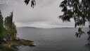 ./images/koeye/fitz-hugh/20250523/fitz-hugh20250523_132508M.jpg