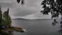 ./images/koeye/fitz-hugh/20250523/fitz-hugh20250523_134508M.jpg