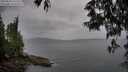 ./images/koeye/fitz-hugh/20250523/fitz-hugh20250523_141511M.jpg