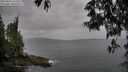 ./images/koeye/fitz-hugh/20250523/fitz-hugh20250523_142010M.jpg