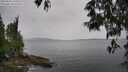 ./images/koeye/fitz-hugh/20250523/fitz-hugh20250523_144511M.jpg