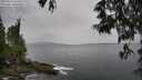 ./images/koeye/fitz-hugh/20250523/fitz-hugh20250523_145010M.jpg