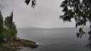 ./images/koeye/fitz-hugh/20250523/fitz-hugh20250523_150510M.jpg