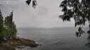 ./images/koeye/fitz-hugh/20250523/fitz-hugh20250523_153510M.jpg