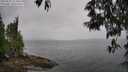 ./images/koeye/fitz-hugh/20250523/fitz-hugh20250523_154010M.jpg