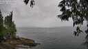 ./images/koeye/fitz-hugh/20250523/fitz-hugh20250523_154510M.jpg