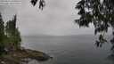 ./images/koeye/fitz-hugh/20250523/fitz-hugh20250523_160012M.jpg