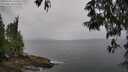 ./images/koeye/fitz-hugh/20250523/fitz-hugh20250523_160509M.jpg