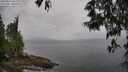 ./images/koeye/fitz-hugh/20250523/fitz-hugh20250523_161510M.jpg