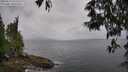 ./images/koeye/fitz-hugh/20250523/fitz-hugh20250523_162508M.jpg