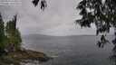 ./images/koeye/fitz-hugh/20250523/fitz-hugh20250523_163010M.jpg