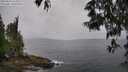 ./images/koeye/fitz-hugh/20250523/fitz-hugh20250523_165010M.jpg